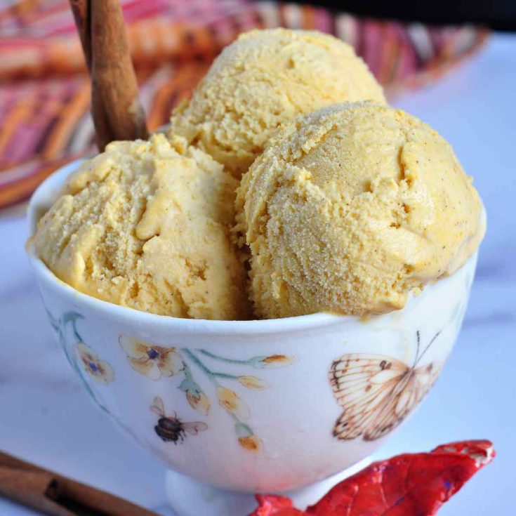 Image for Pumpkin Ice Cream Recipe (No Eggs)