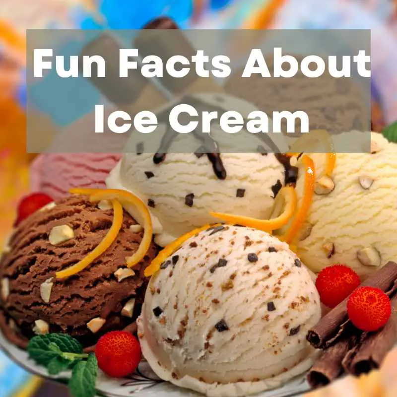 Fun Facts About Ice Cream (800 × 800 px)