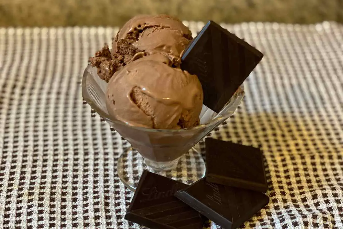 https://musthaveicecream.com/wp-content/uploads/2022/12/Cuisinart-Chocolate-Ice-Cream.jpg