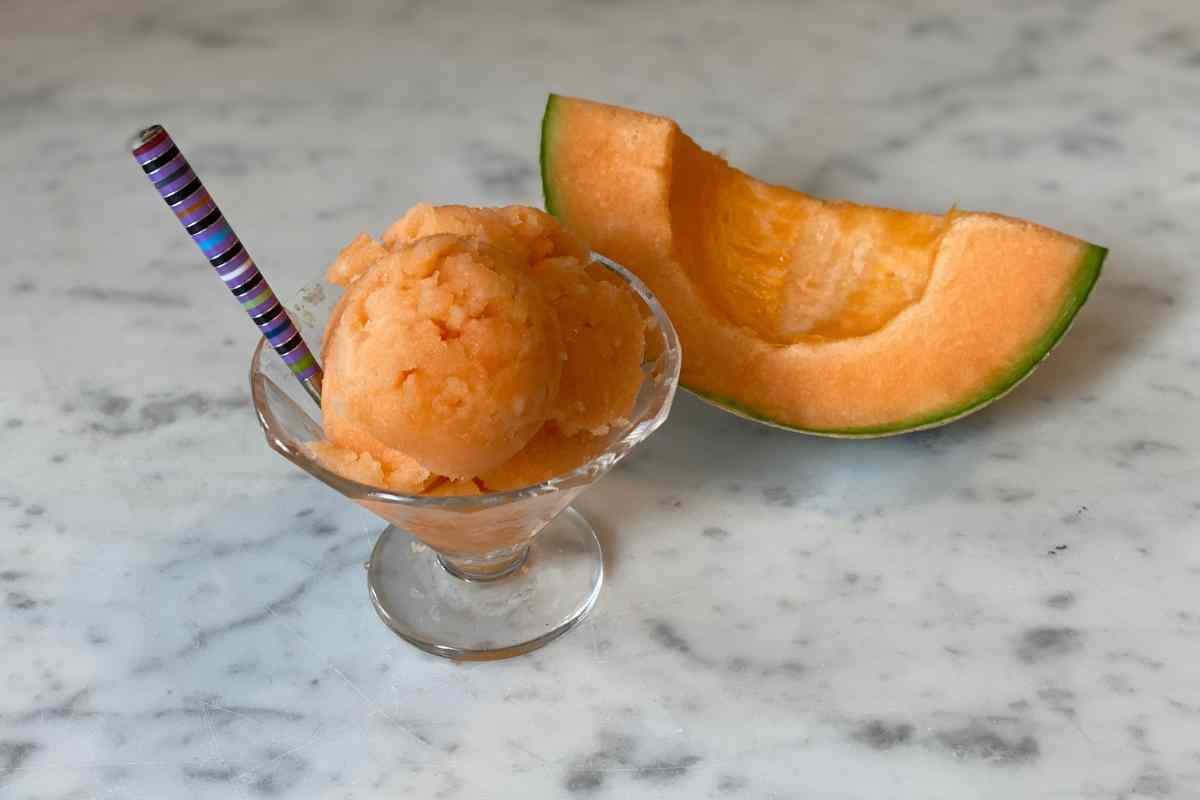 Melon Sorbet Recepi At Summer Mathew Blog Melon Sorbet Recepi At Summer Mathew Blog