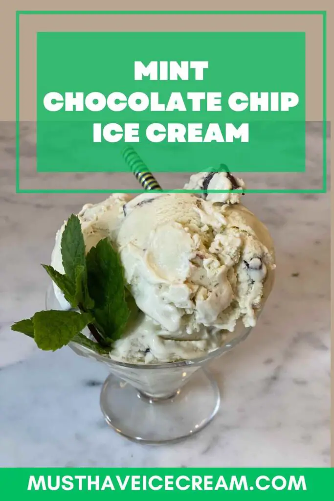 Mint Chocolate Chip Ice Cream - PIN