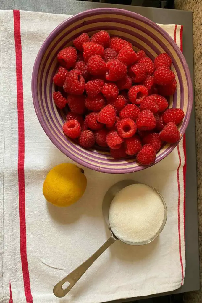 Raspberry sorbet ingredients