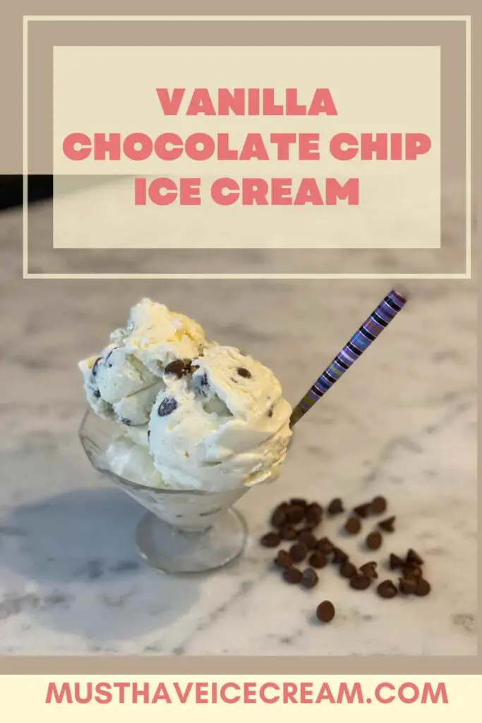 Vanilla Chocolate Chip Ice Cream - PIN