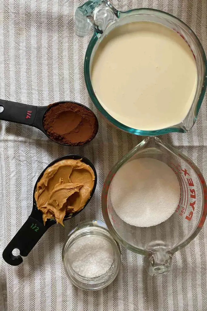 Chocolate Peanut Butter Ice Cream ingredients