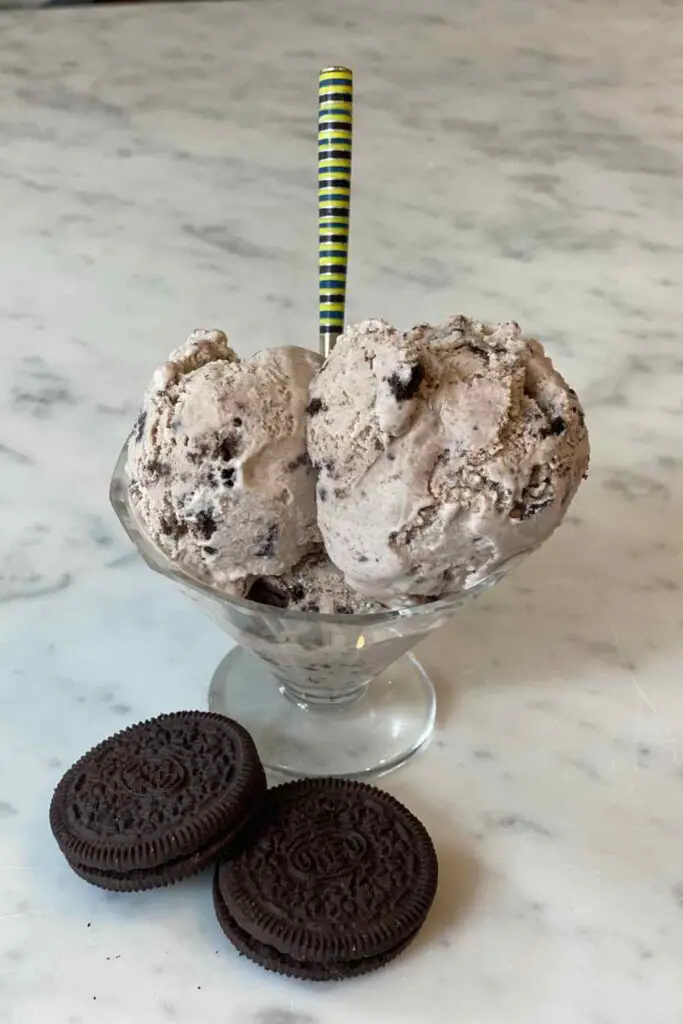 Oreo Cookie Ice Cream Portrait