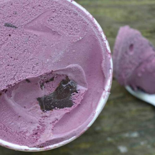 black raspberry chocolate chip ice cream