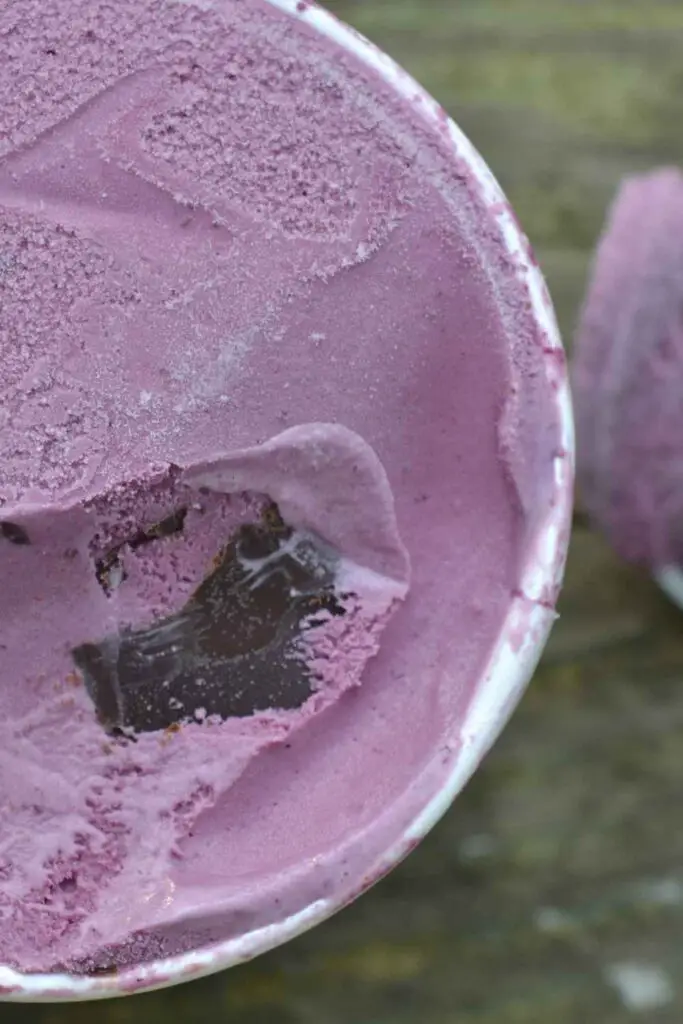 black raspberry chocolate chip ice cream hero