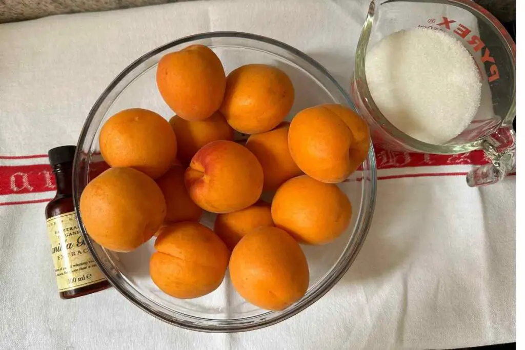 Apricot Sorbet Ingredients