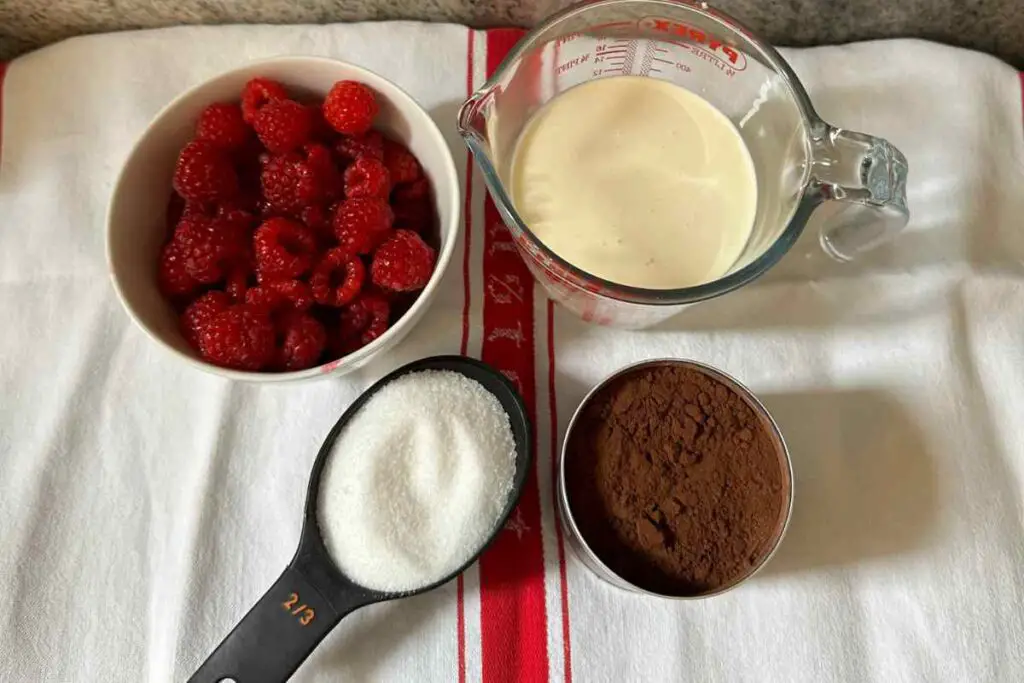 Chocolate Raspberry Ice Cream Ingredients