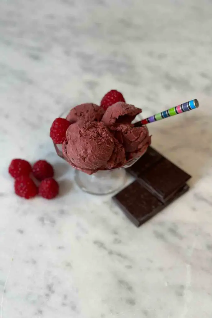 Chocolate Raspberry Ice Cream hero