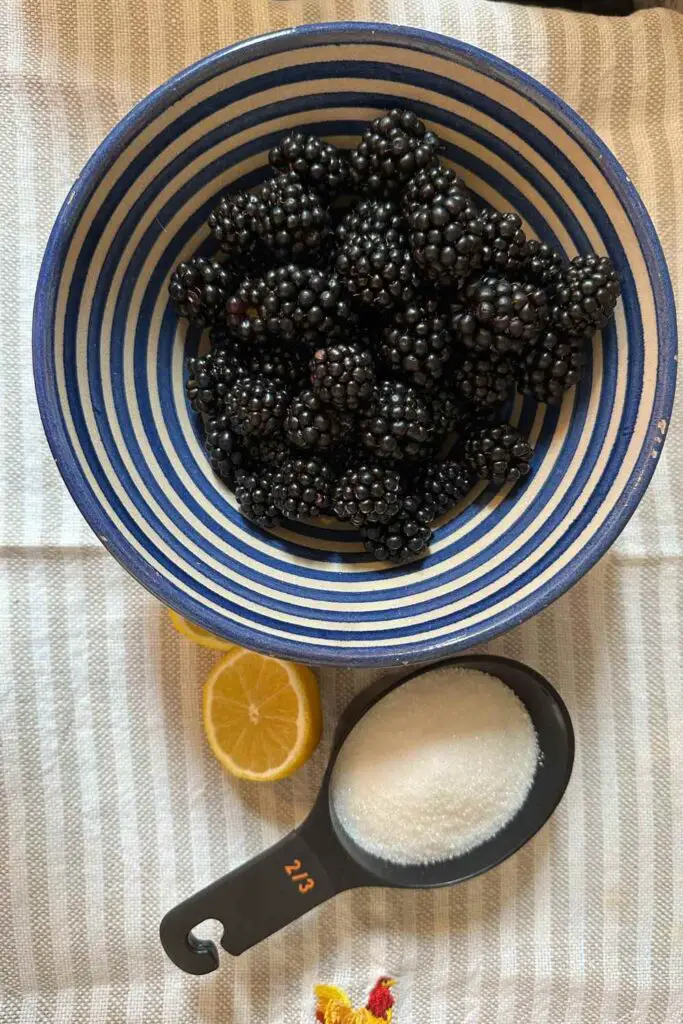 Blackberry Sorbet Ingredients